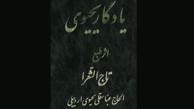 کتاب نوحه ترکی منزوی