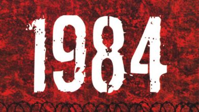 23534534