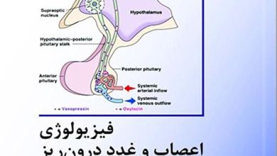 کتاب فیزیولوژی اعصاب و غدد دکتر حائری