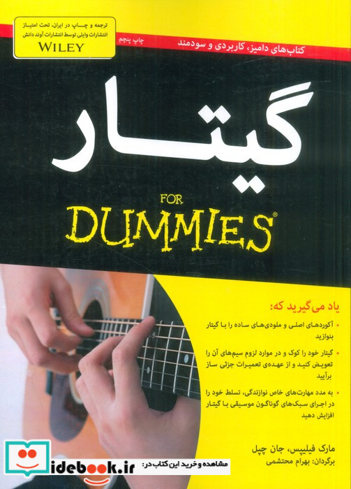 گیتار از دامیز