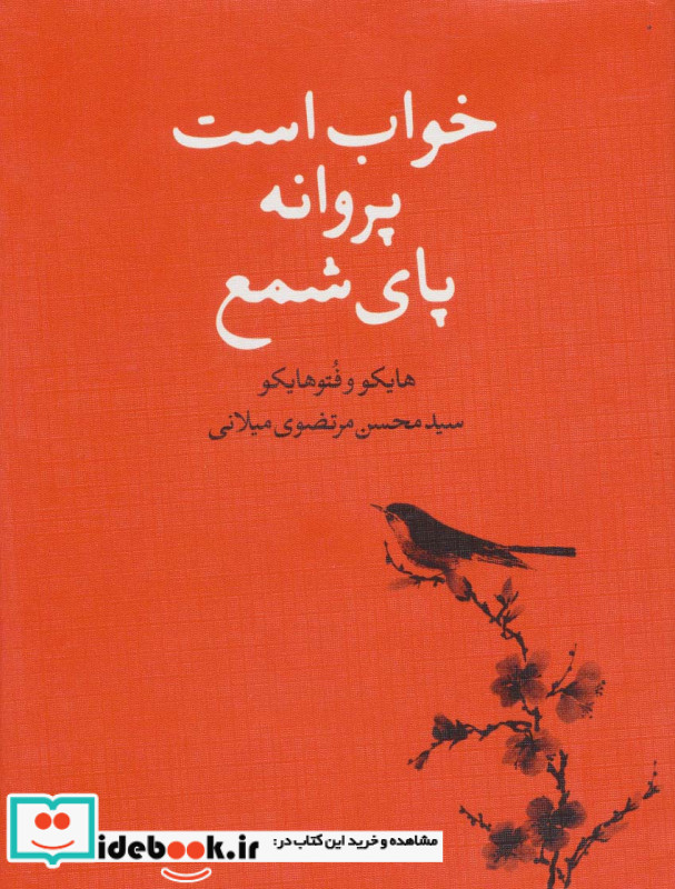 خواب است پروانه پای شمع