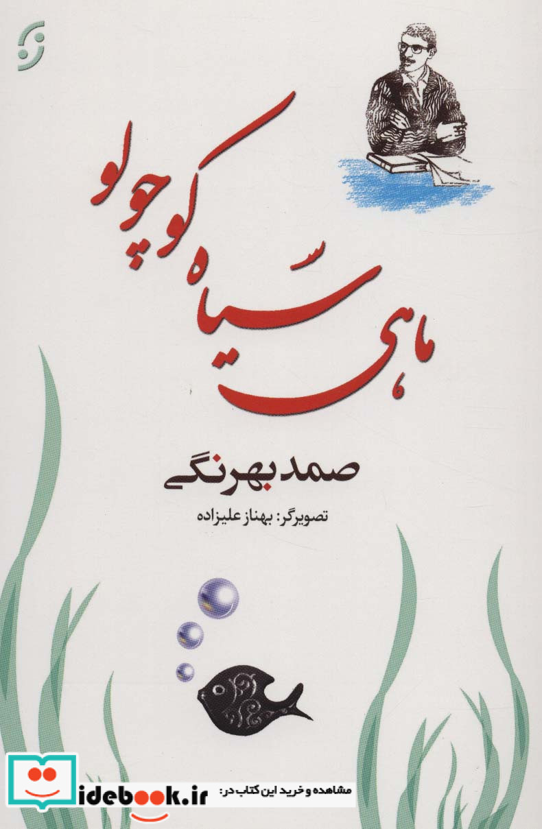 ماهی سیاه کوچولو نشر نخستین قطع رقعی