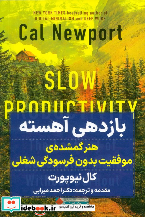 بازدهی آهسته هنر گمشده ی موفقیت بدون فرسودگی شغلی