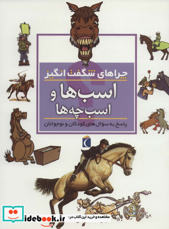 اسب ها و اسب چه ها از چراهای شگفت انگیز