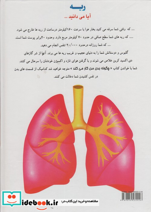 چگونه بدن من کار می کند 3