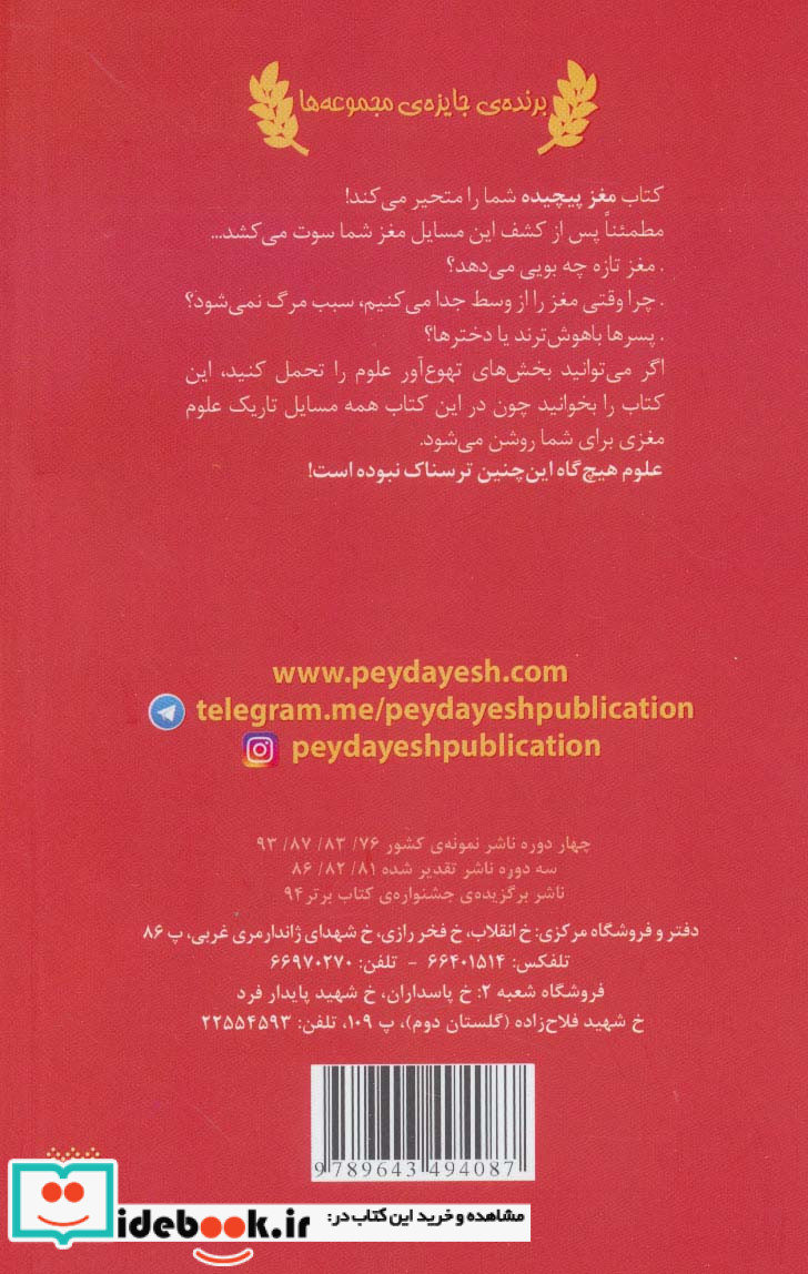 علوم ترسناک  مغز پیچیده