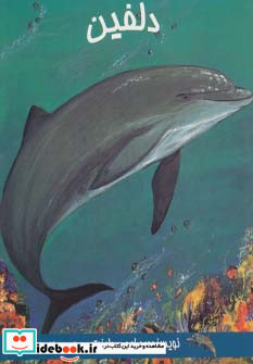 دلفین