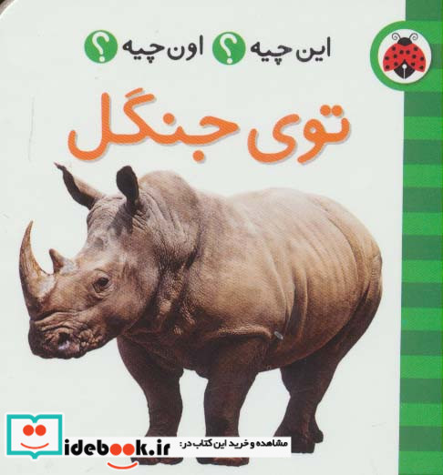 توی جنگل از این چیه اون چیه