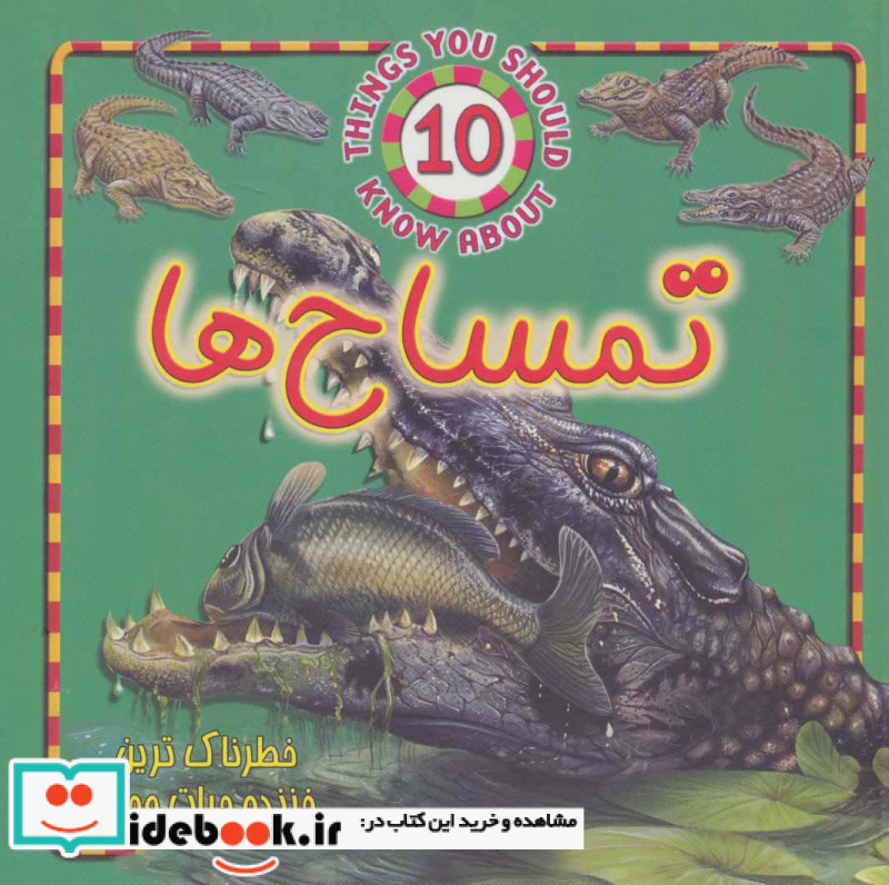 تمساح ها