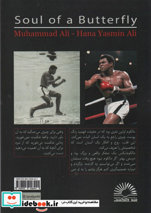 روح یک پروانه