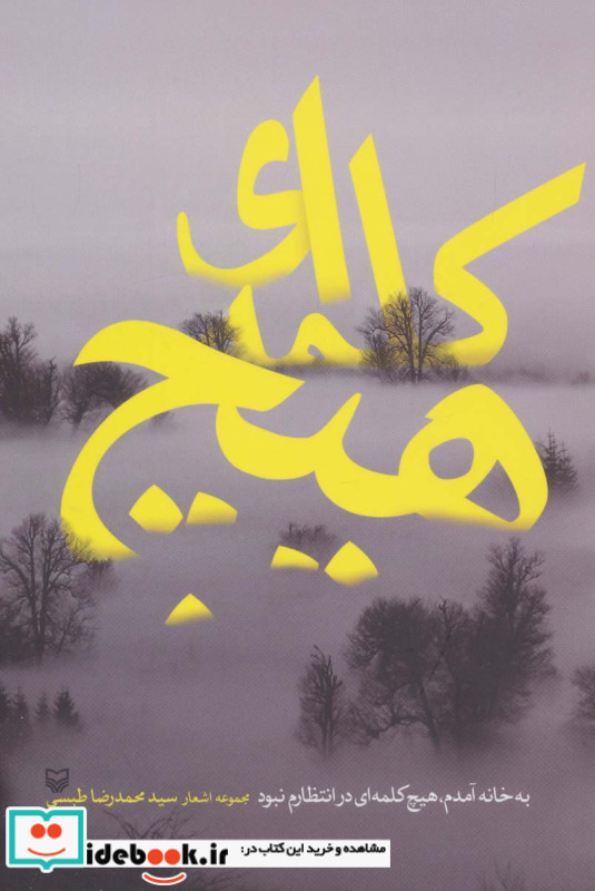 به خانه آمدم هیچ کلمه ای در انتظارم نبود