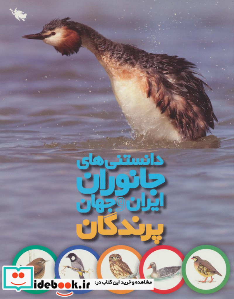 دانستنی های جانوران ایران و جهان پرندگان