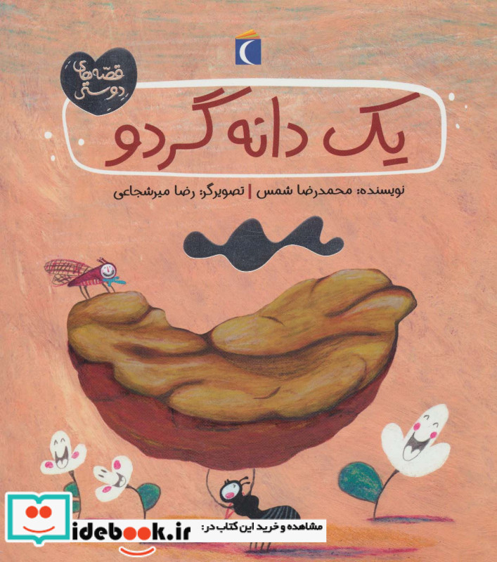 یک دانه گردو