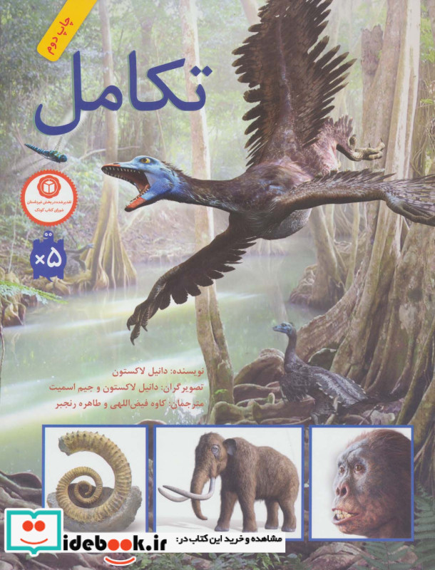 تکامل نشر فاطمی