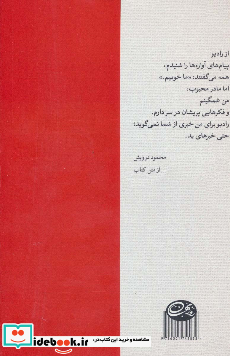 درخت زیتون