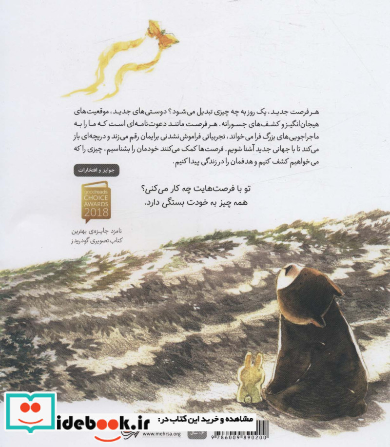 با یک فرصت چه کار می توانم بکنم؟
