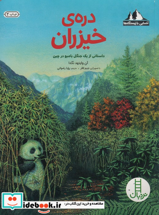 دره خیزران داستانی از یک جنگل بامبو در چین