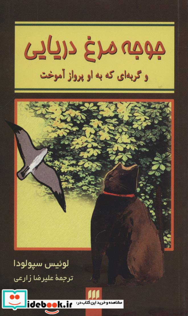 جوجه مرغ دریایی و گربه ای که به او پرواز آموخت