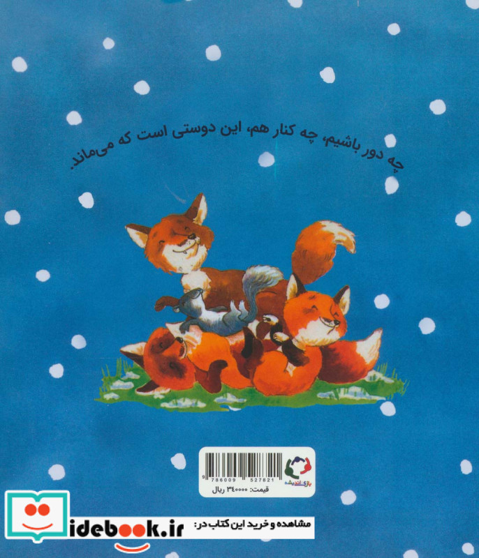فیجی و خرسی 2