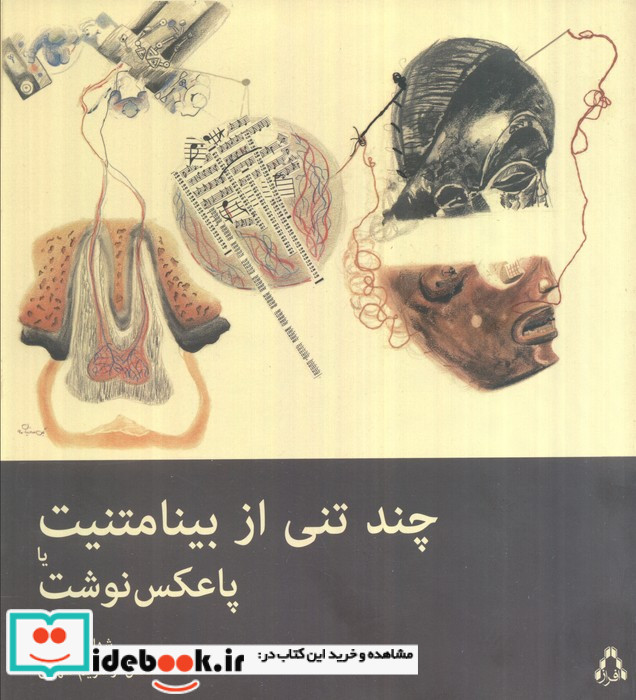 چند تنی از بینامتنیت یا پاعکس نوشت