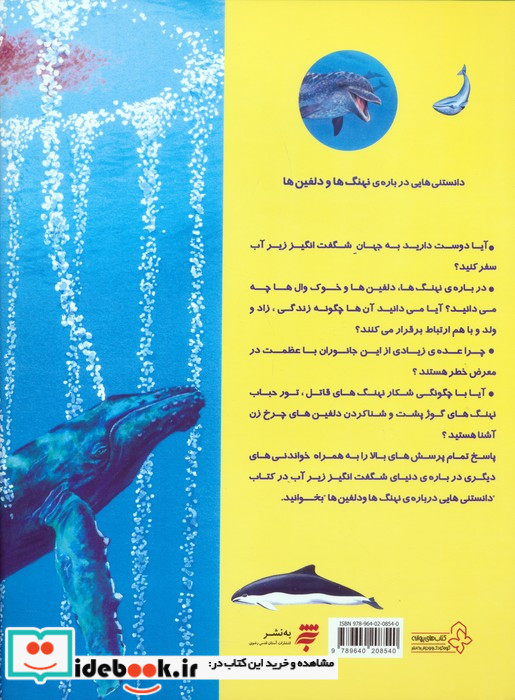 دانستنیهایی درباره نهنگ ها و دلفینها