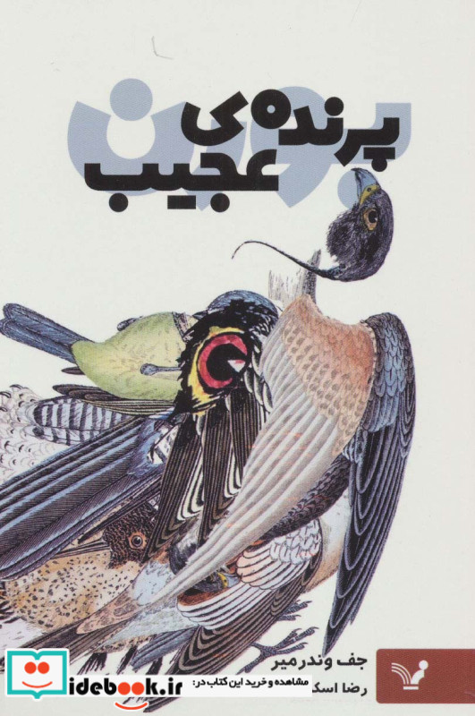 پرنده عجیب