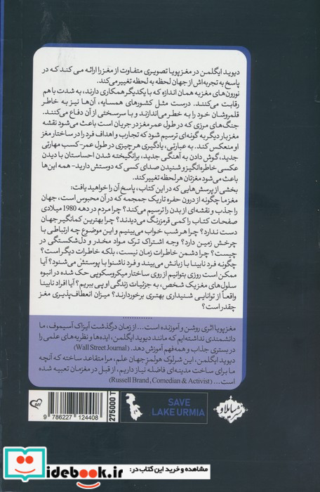 مغز پویا
