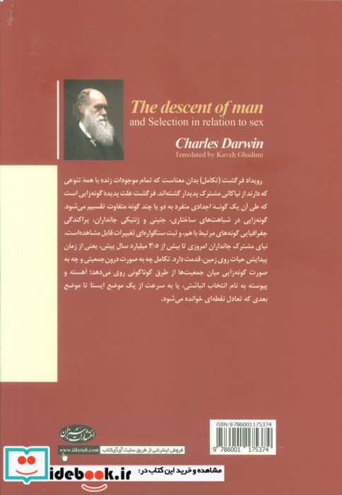 تبار انسان