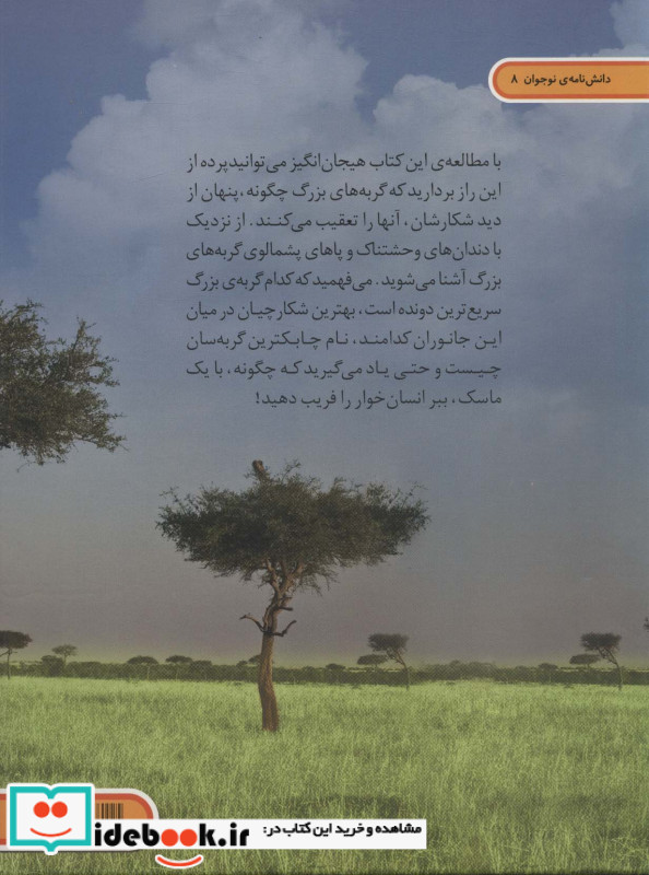دنیای هیجان انگیز 8 گربه سانان بزرگ