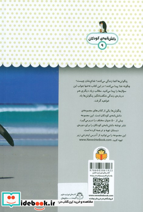 یک فنجان دانستنی درباره‌ ی پنگوئن‌ ها