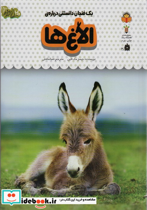 یک فنجان دانستنی درباره‌ ی الاغ‌ ها