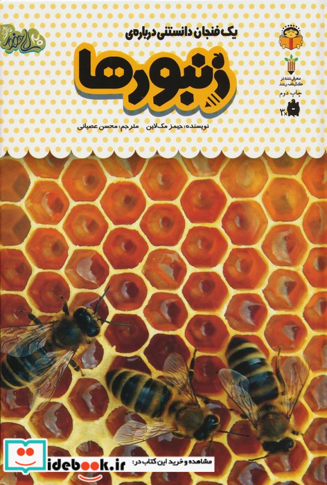 یک فنجان دانستنی درباره ‌ی زنبورها