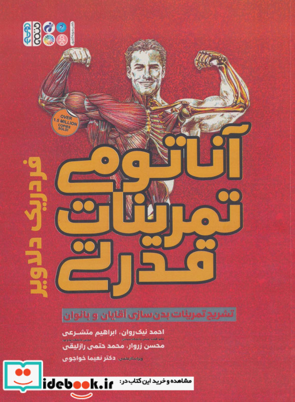 آناتومی تمرینات قدرتی