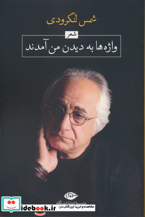 واژه ها به دیدن من آمدند