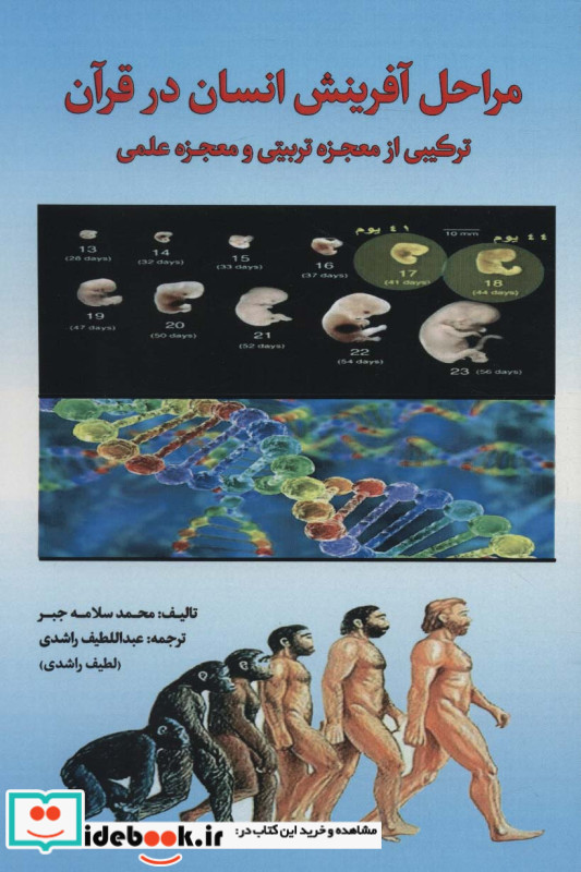 مراحل آفرینش انسان در قرآن