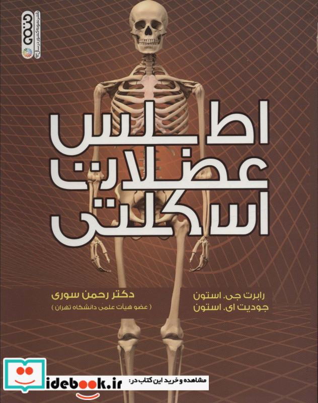 اطلس عضلات اسکلتی