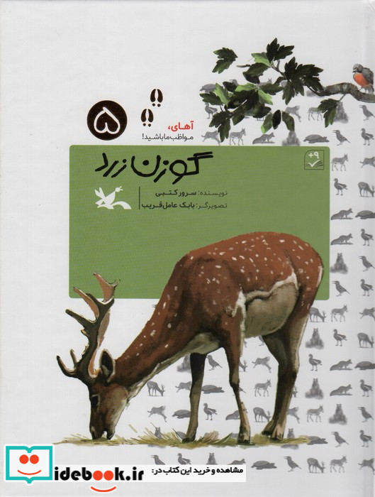 گوزن زرد