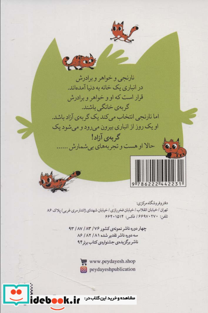 نارنجی گربه ی آزاد 3 تجربه های نارنجی