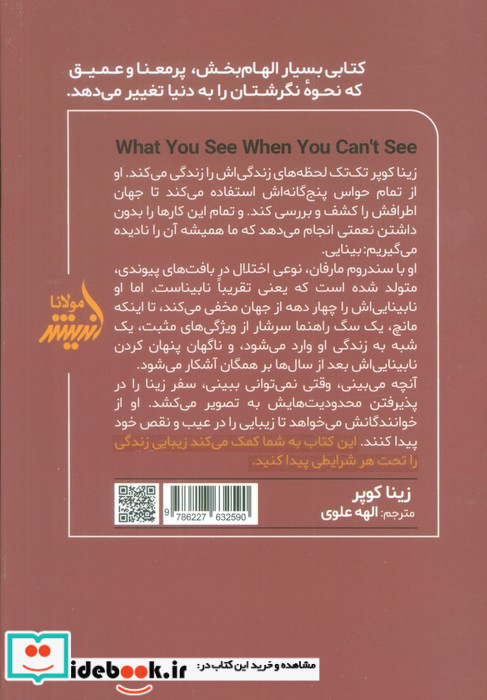 آنچه می بینی وقتی نمی توانی ببینی