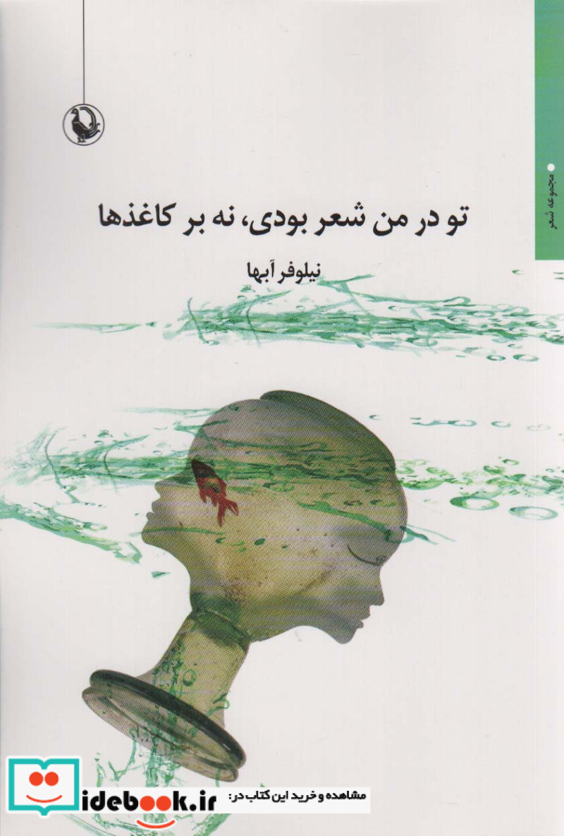تو در من شعر بودی،نه بر کاغذ ها مجموعه شعر
