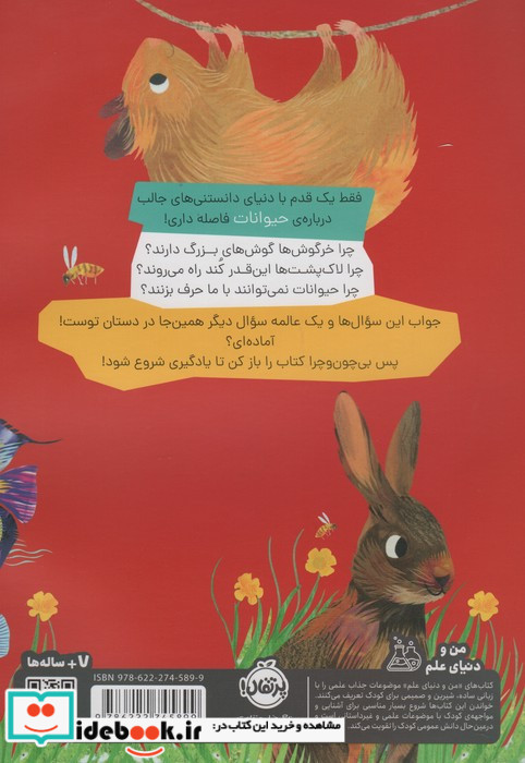 چون و چرا حیوانات پرتقال