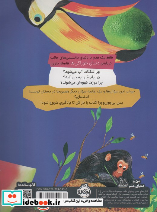 چون و چرا خوراکی ها پرتقال