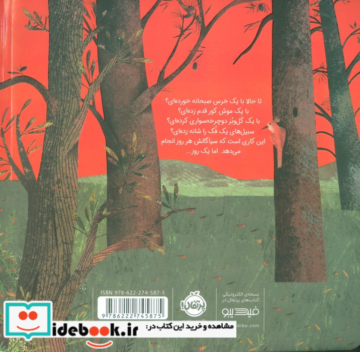سیاگالش نگهبان جنگل شمیز،خشتی بزرگ،پرتقال