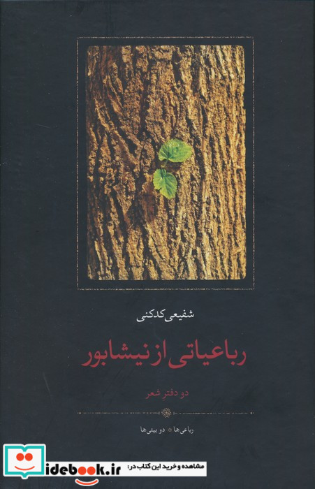رباعیاتی از نیشابور زرکوب،رقعی،سخن