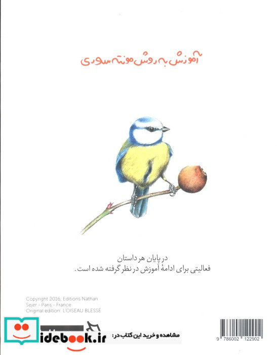 پرنده ی مجروح آموزش به روش مونته سوری گلاسه