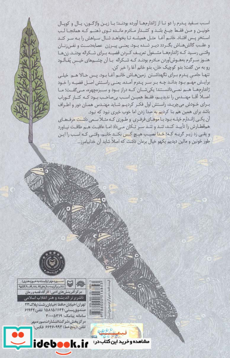 سرو بلند گوراب