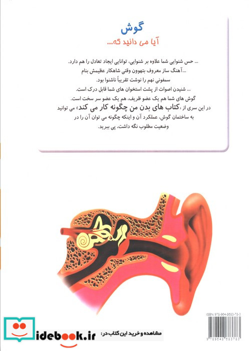 چگونه بدن من کار می کند12