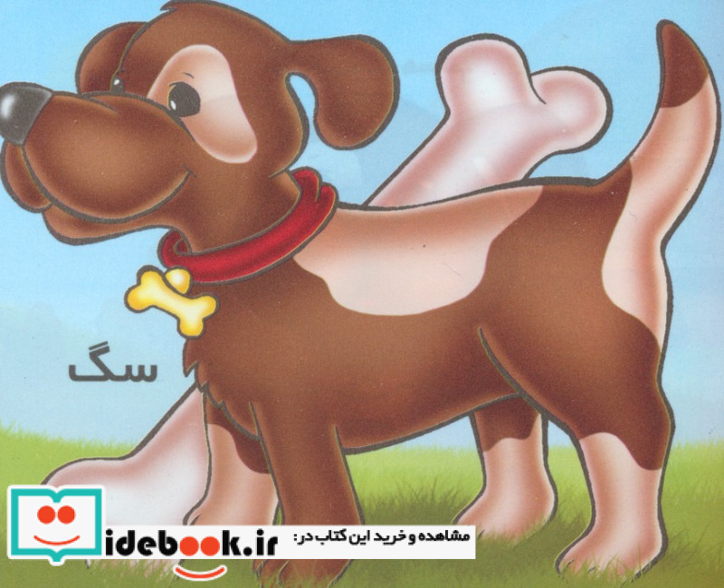 سگ از حیوانات را بشناسیم