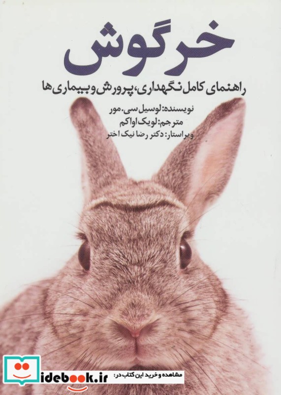 خرگوش نشر جاجرمی
