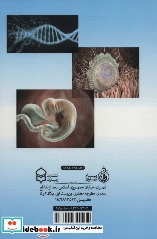 مراحل آفرینش انسان در قرآن